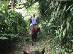 Paseo en caballo en el Valle de Antón Panamá