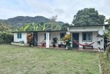 2027d4a5-e9d7-478e-a660-4b115dc8b196 (1)