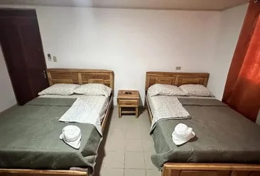 4137a77b-8538-4c47-9038-afc66463c72e