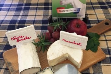 502513798_4033066220296805_7685631669811098152_n