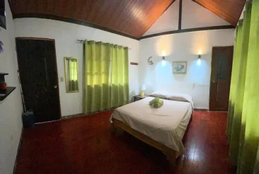 95f1d51e-420c-47d6-8d86-50f148c8c8ed