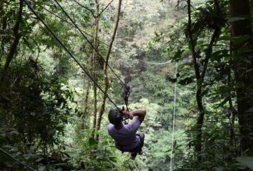 Canopy-Adventure-Zip-Line-7-1