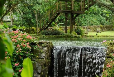 Canopy-Lodge-6