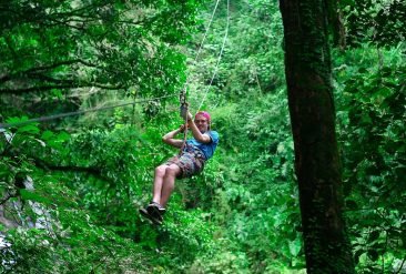 Canopy-Zip-Line-4-1