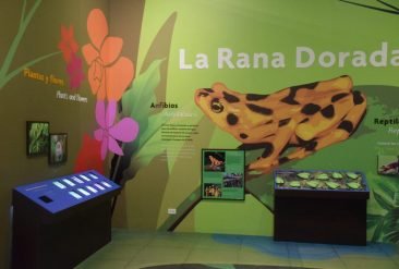 Centro-de-Visitantes-7-1
