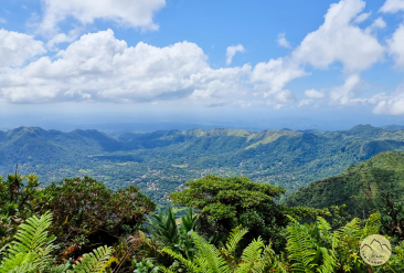 Cerro-Gaital-1