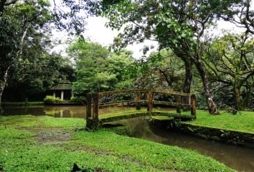El-Nispero-Zoologico-y-Vivero-6-1
