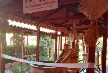 Opera-Captura-de-pantalla_2025-05-09_111824_www.google.com_