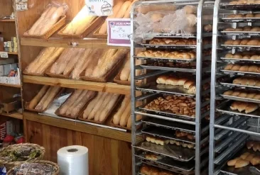 Opera-Captura-de-pantalla_2025-05-09_114538_www.google.com_-r5kbph0rfdz49zr1g0audcmumcmldj85vi179kf292