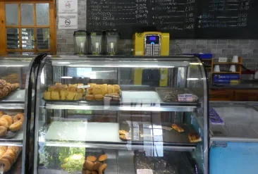 Opera-Captura-de-pantalla_2025-05-09_114635_www.google.com_-r5kbp9i1wpotp41ynx1ttej5v9nnnyeb6gtbfcq7mu