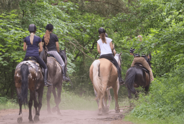 Paseo-en-Caballo-4-1