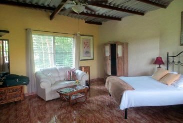 The-Golden-Frog-Inn-5-1