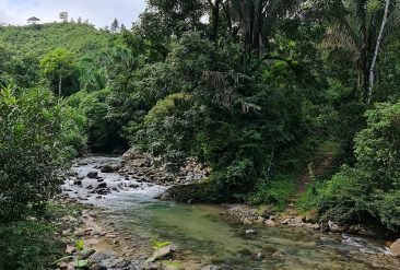 caminando-el-valle (1)